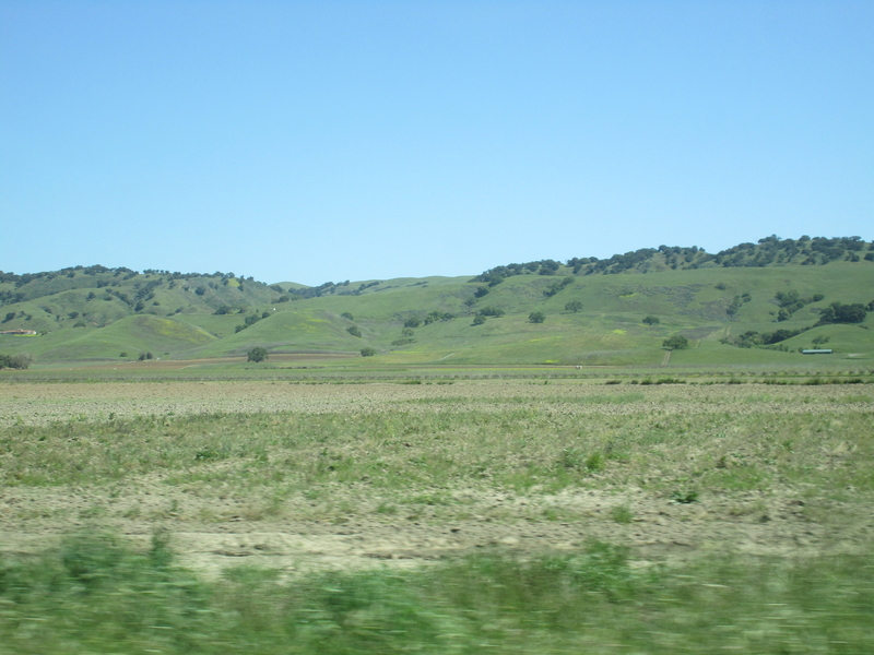 [152 West in 2025]