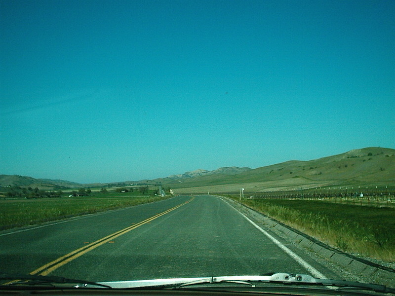 [25 North]