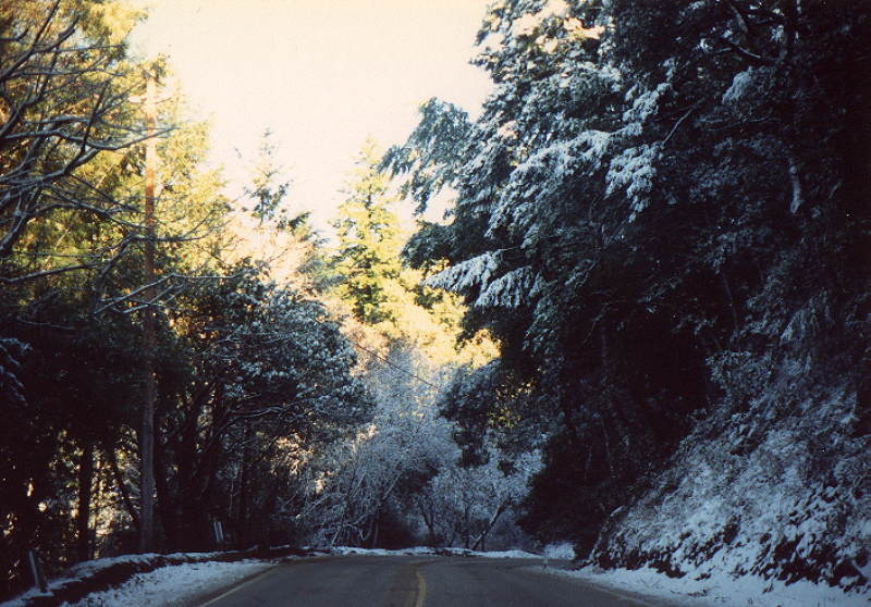 35 North in December
          1988