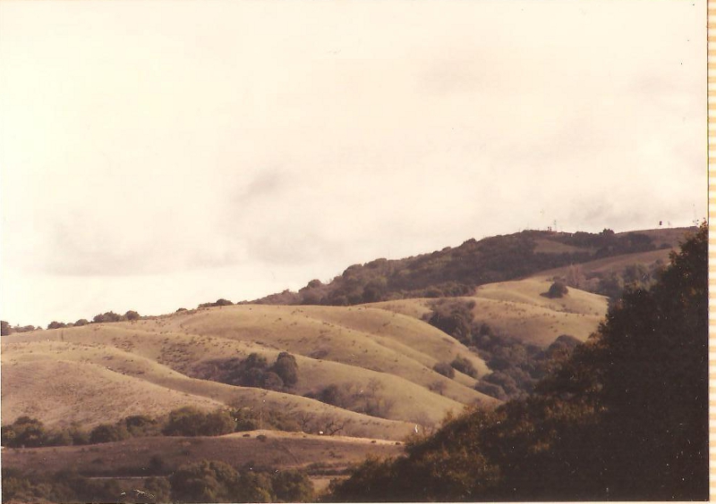 [Skyline
          Boulevard]