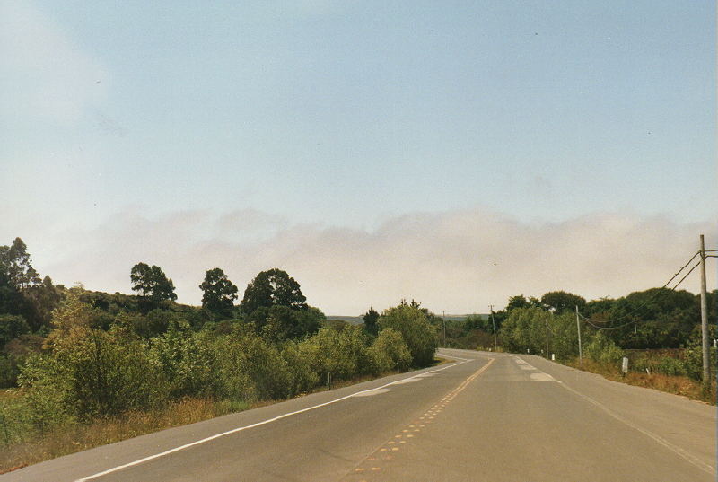 [Pescadero Creek Road South]