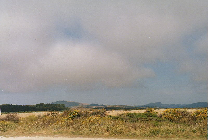 [Pescadero Creek Road South]