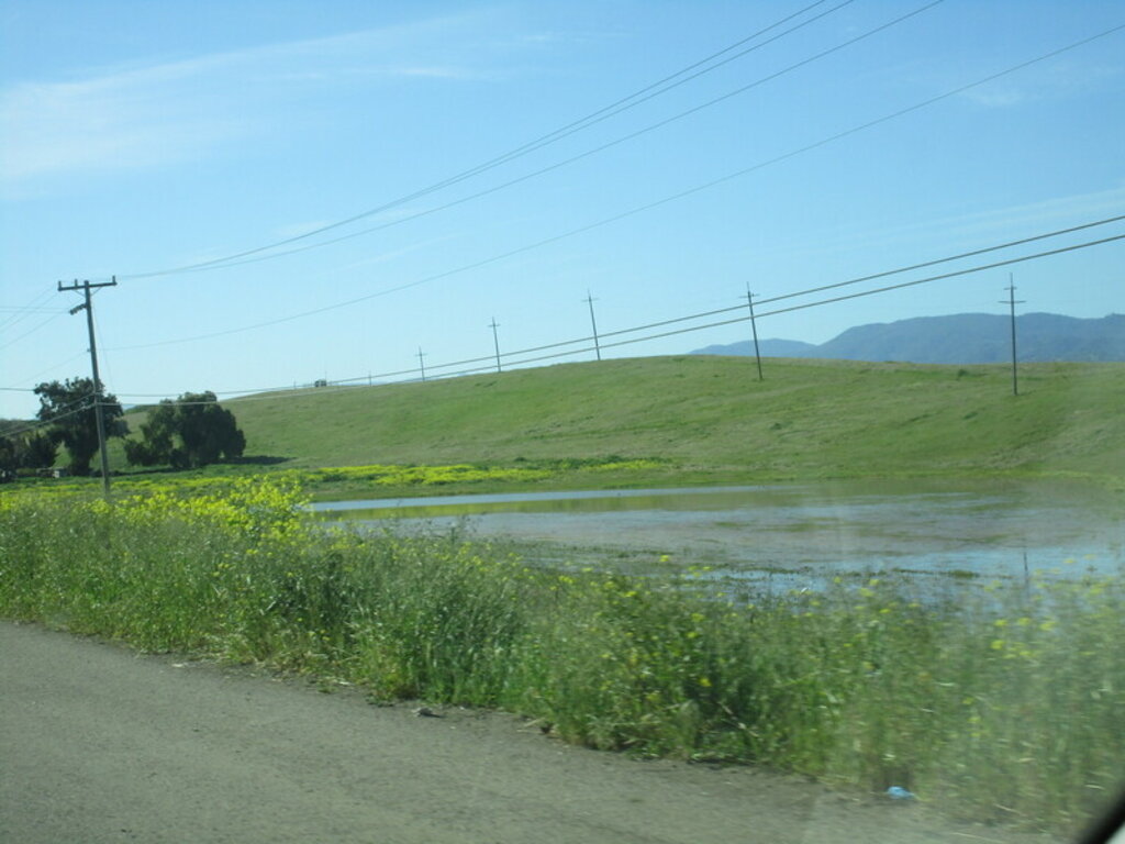 Image: IMG_5562.JPG