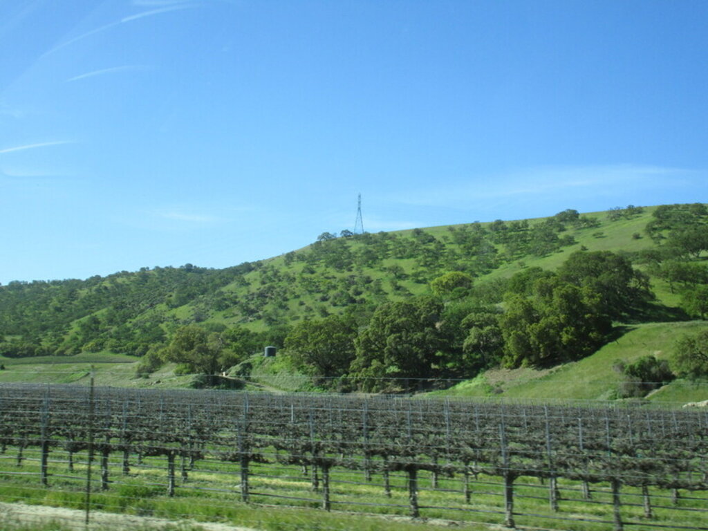 Image: IMG_5629.JPG