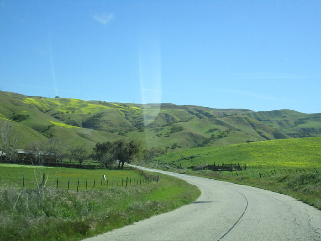 Image: IMG_5677.JPG