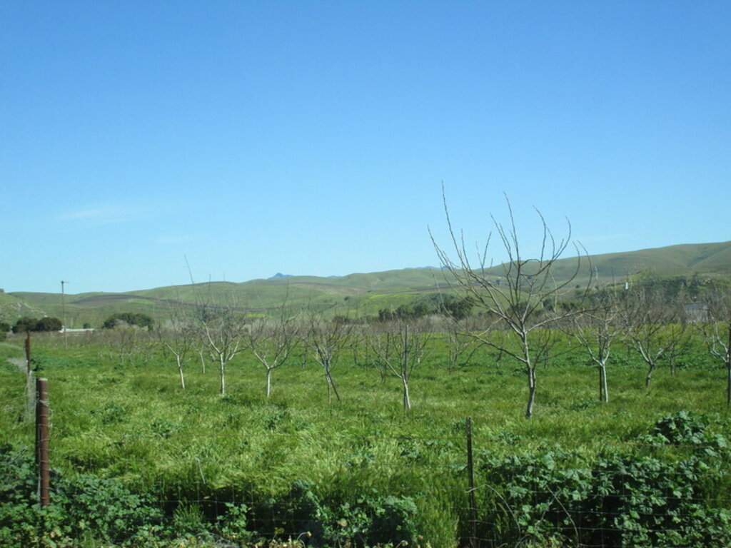 Image: IMG_5741.JPG