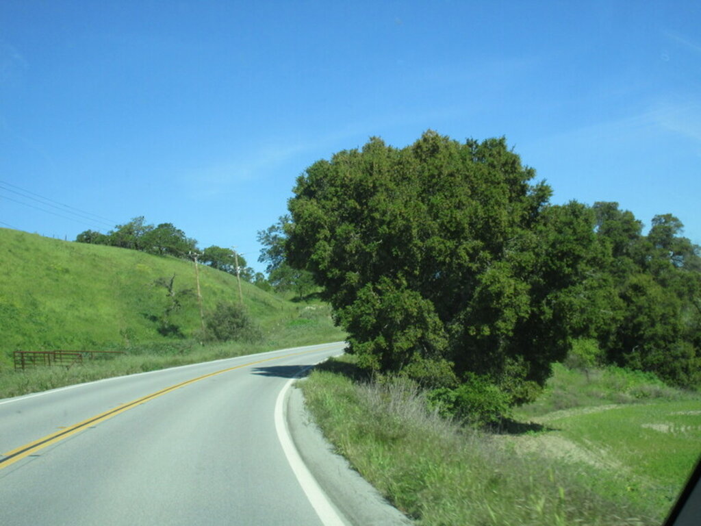 Image: IMG_5751.JPG