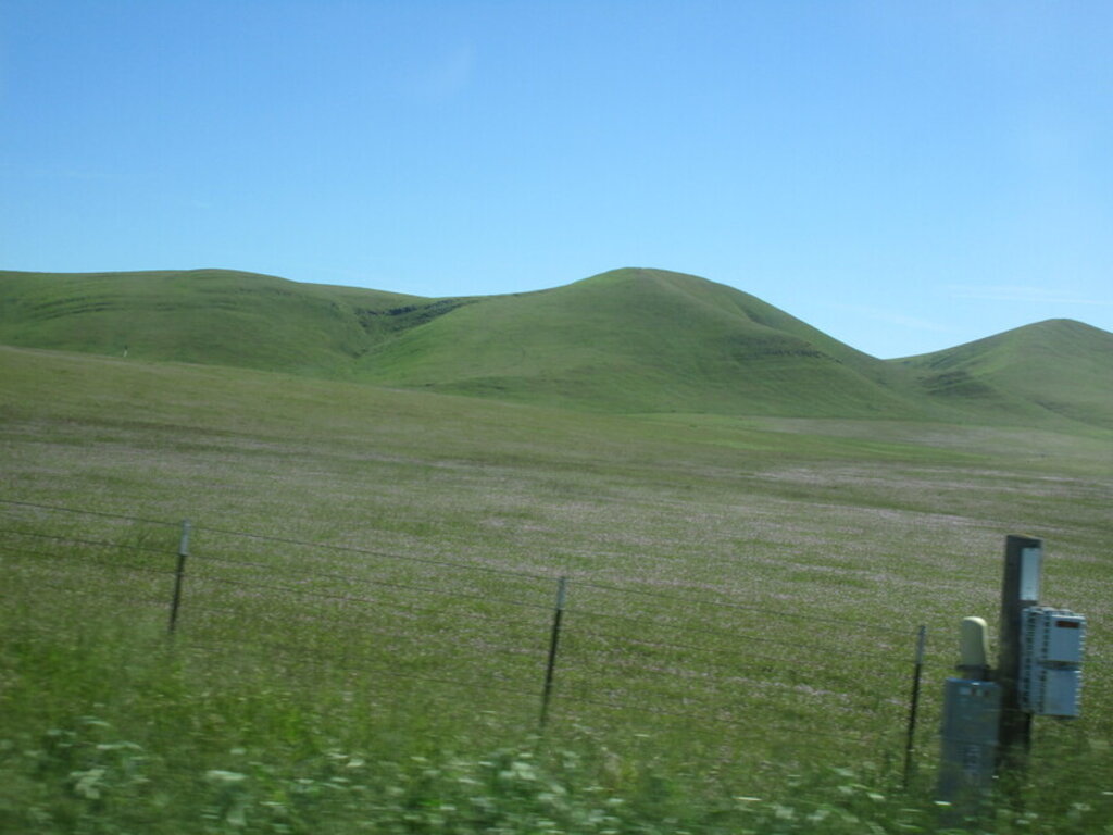 Image: IMG_5761.JPG