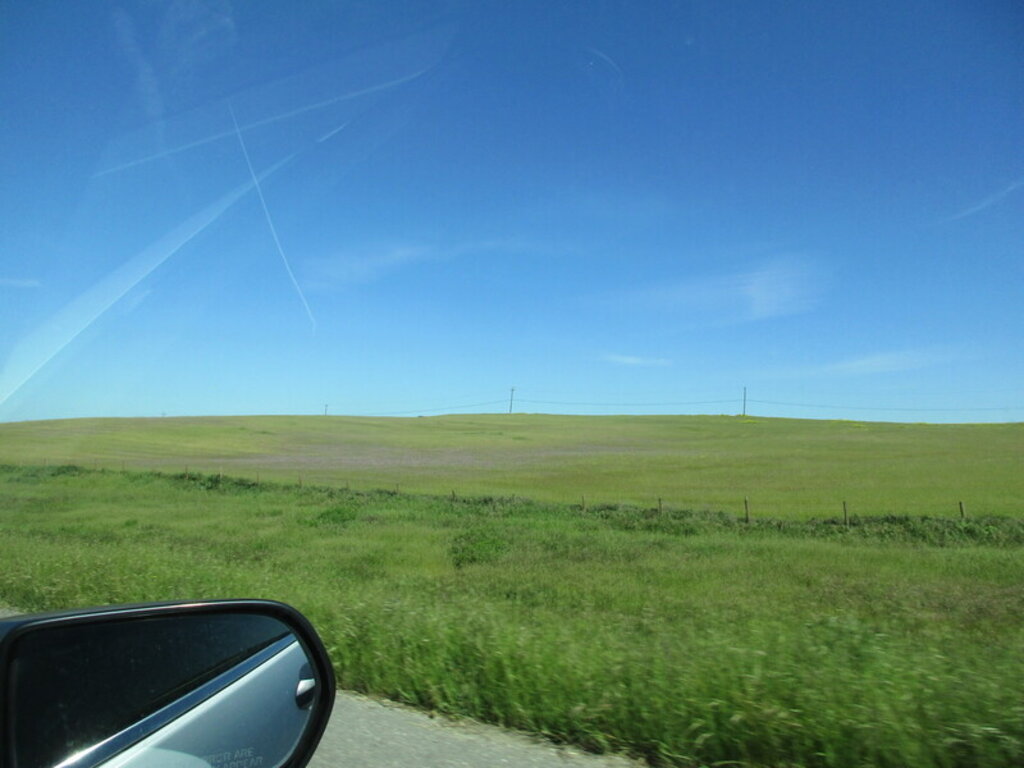 Image: IMG_5776.JPG