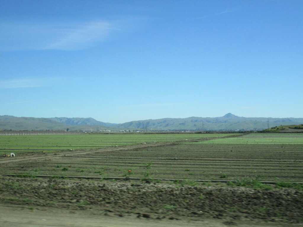 Image: IMG_5812.JPG