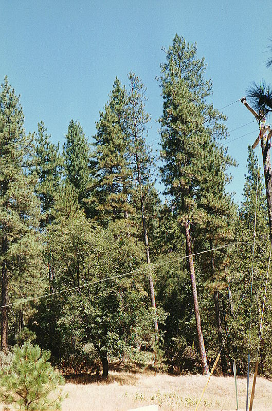 [Bass
        Lake in Madera county]