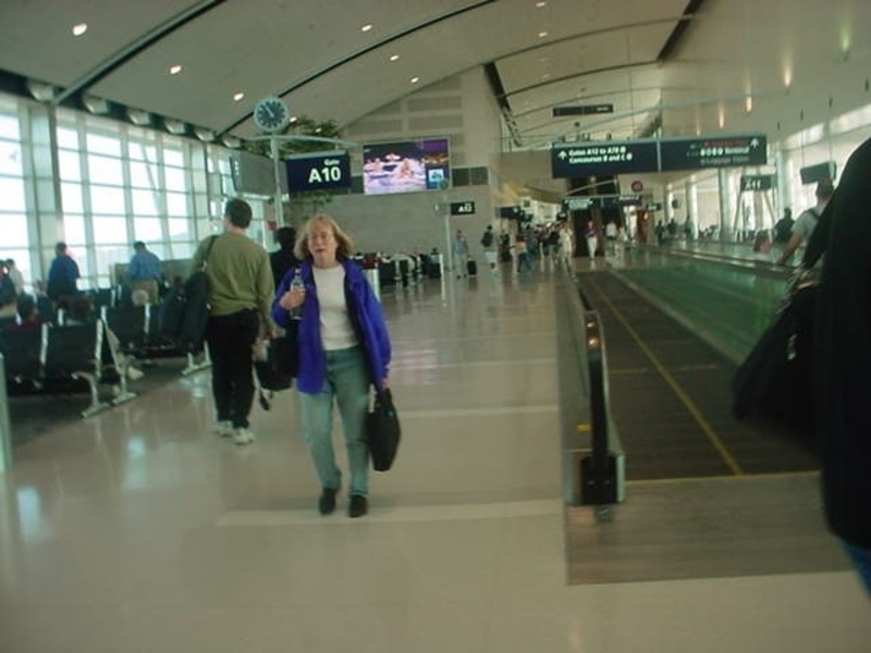 [The new terminal in DTW]