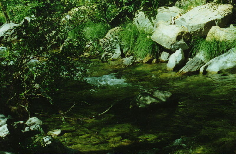 [Arroyo Seco]