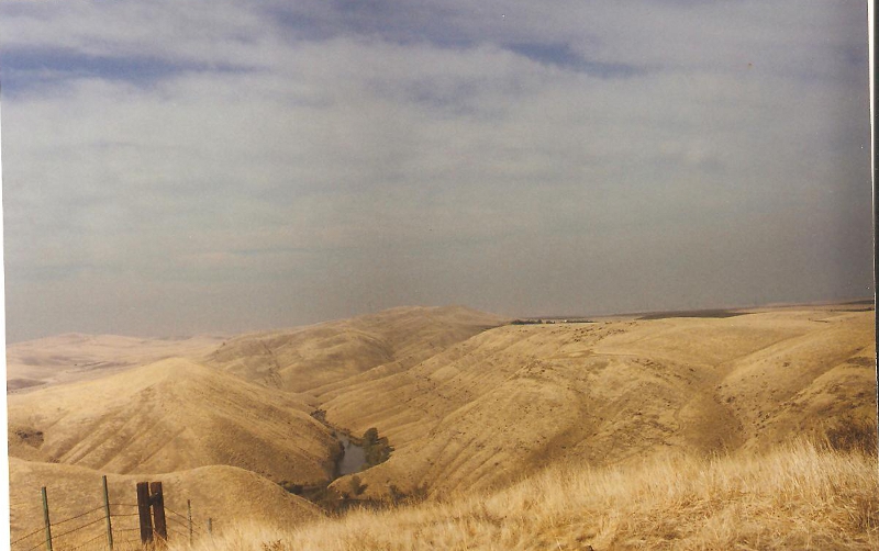 [Los Banos Reservoir]