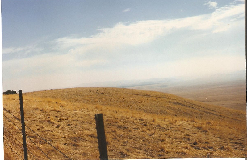 [Los Banos Reservoir]