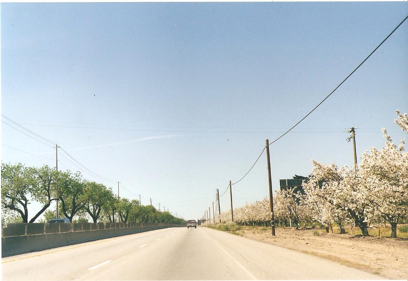 [Monterey Highway North]