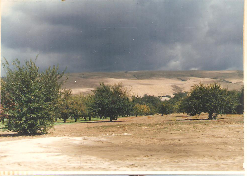 [Monterey Highway North in 1986]