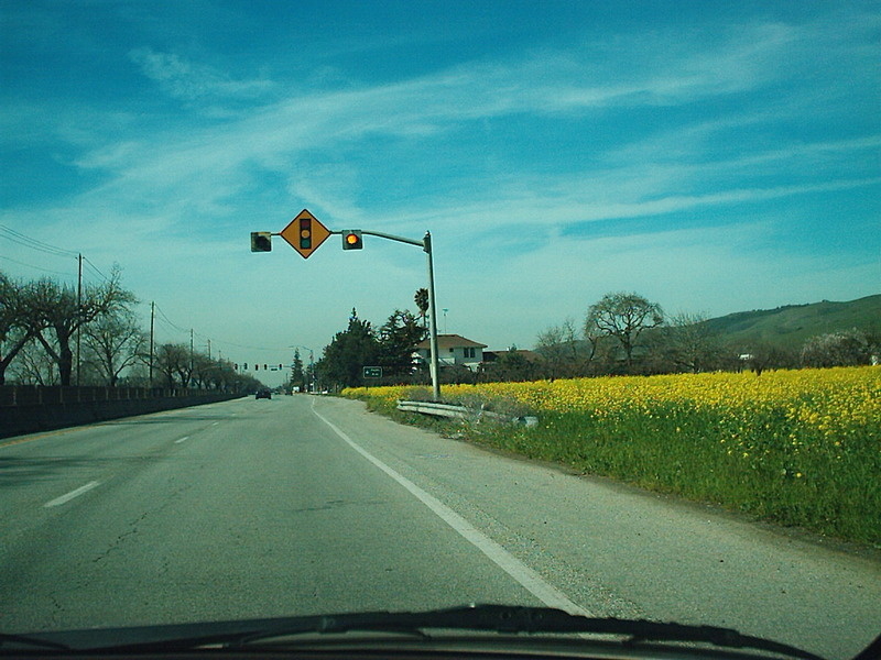 [Monterey Highway at Palm]