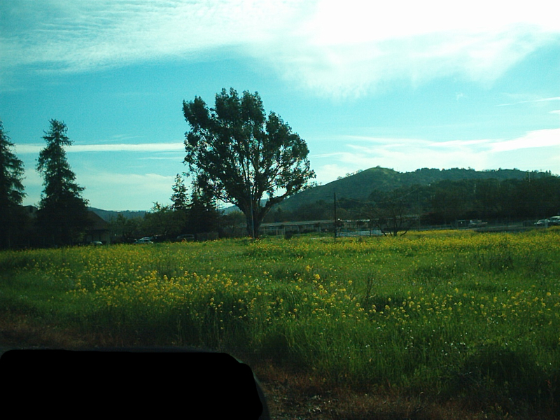 [Monterey Highway Southbound]