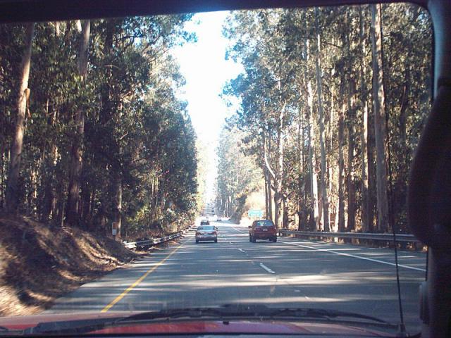 us101_n_monterey_oct2003_17.jpg