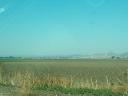 us101_n_monterey_oct2003_5.jpg