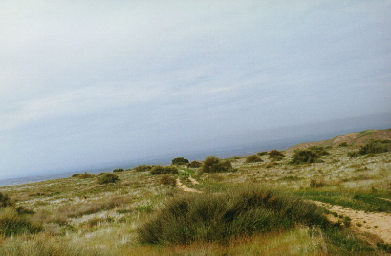 [Panoche Hills BLM]