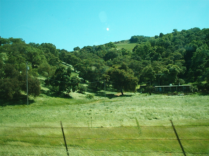 [Hale Avenue / Santa Teresa Blvd North]