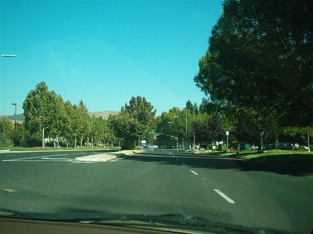 greatoaks_east_oct2008_1.jpg