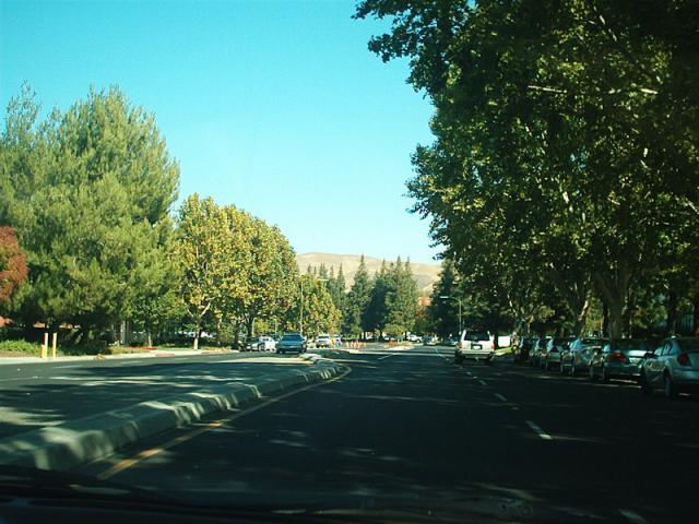 greatoaks_east_oct2008_2.jpg