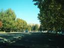 greatoaks_east_oct2008_2.jpg