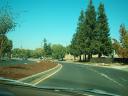 greatoaks_east_oct2008_3.jpg