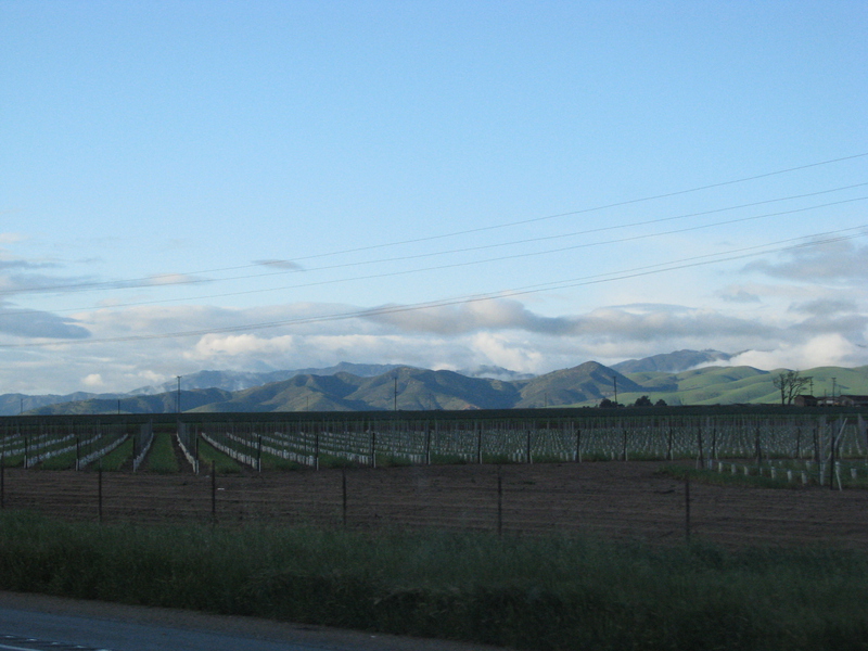 [US101 North]