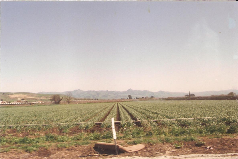 [US101 North]